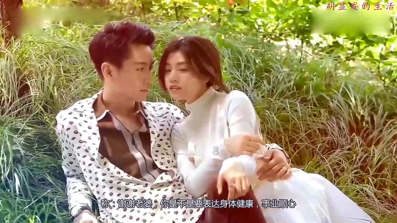 拯救可爱小浣熊